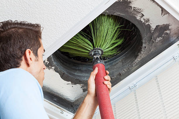 Best Air Duct Cleaning Near Me  in Gray, LA